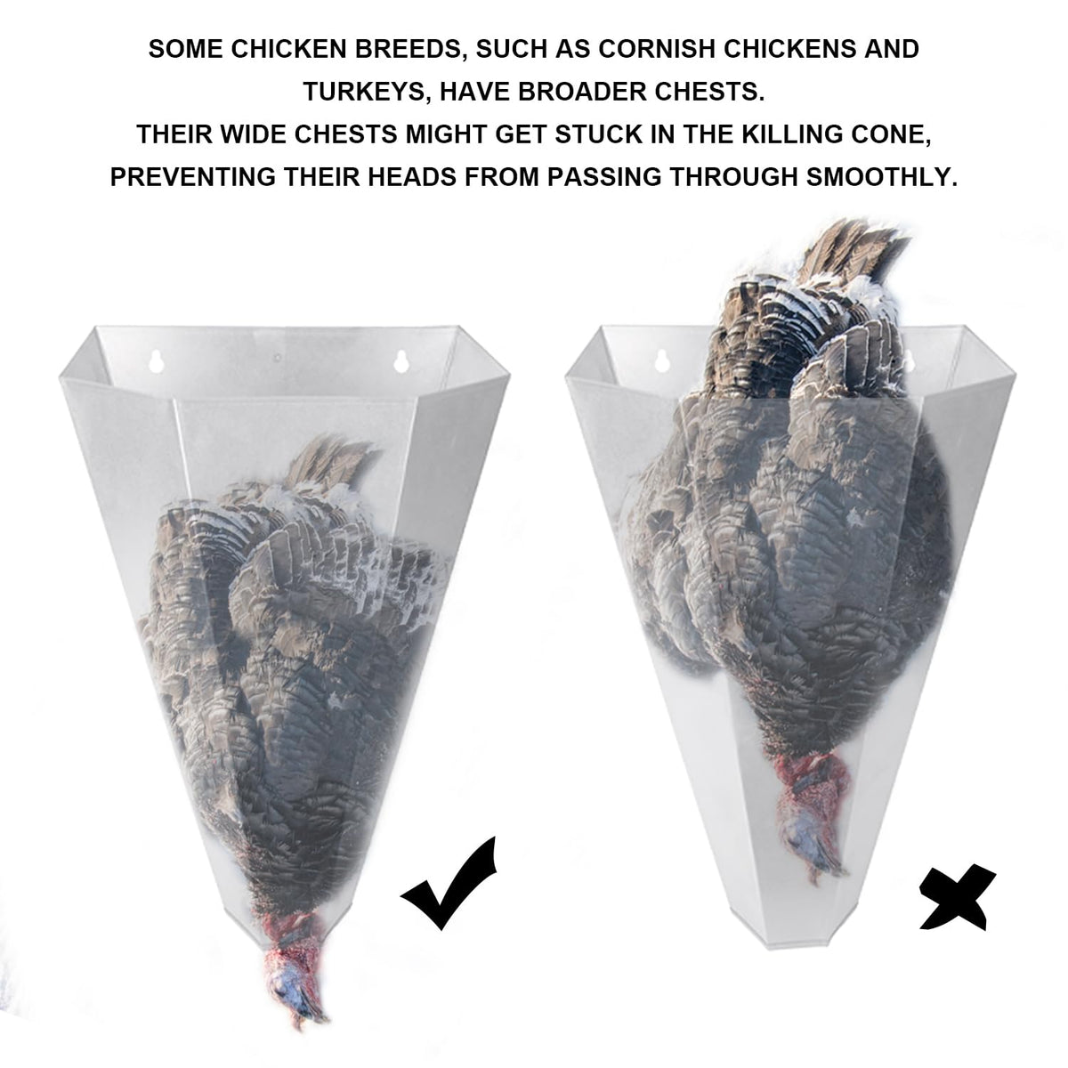 Holdly flat-back cone attached to work surface for steady poultry handling.