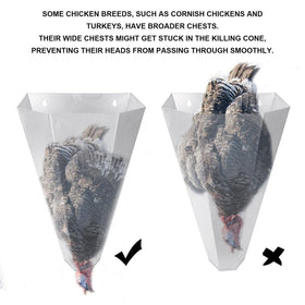 Holdly flat-back cone attached to work surface for steady poultry handling.