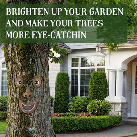 Hollowfly tree face mouth detail creates friendly focal point for yard gatherings.