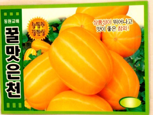 Holtgarden Korean melon seeds, 2-pack, ideal for home gardening and fresh harvest.
