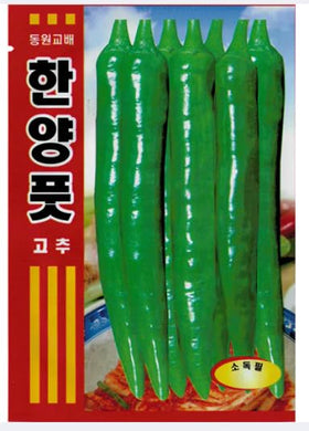 Holtgarden Pepper Seeds Korean bag front highlights seed quality for home gardening.