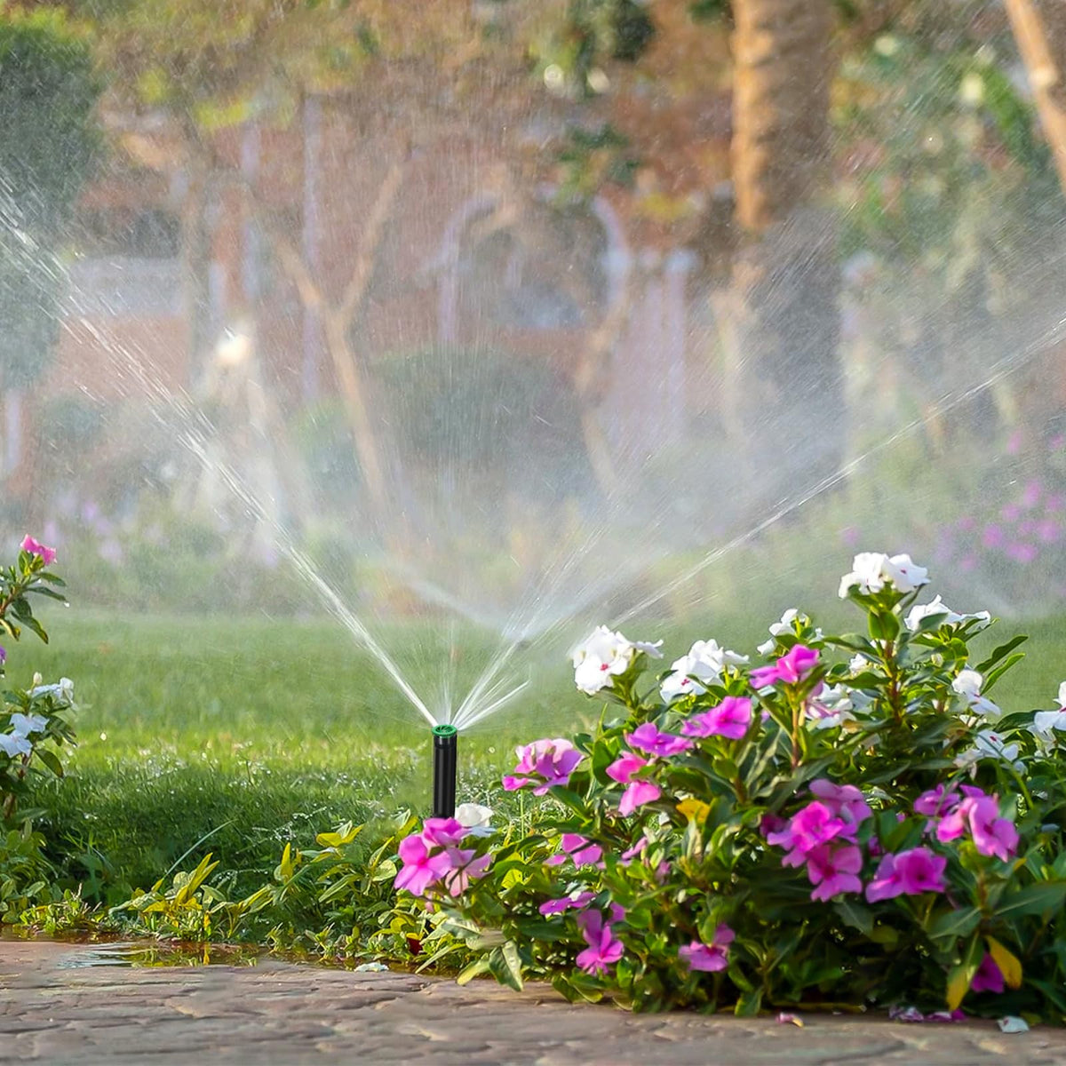 HolyMaji quick-install replacement to reduce watering waste