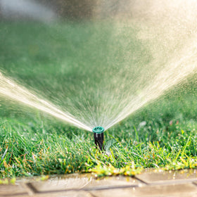 HolyMaji lawn and garden irrigation solution for efficient, customizable watering.