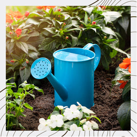Homarden gift ready watering can ideal for Easter ideas