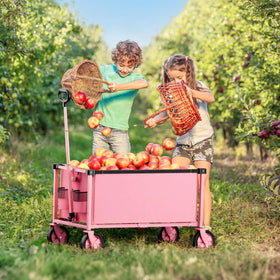 HOMBETTA lightweight design under 10 lbs for portable transport.