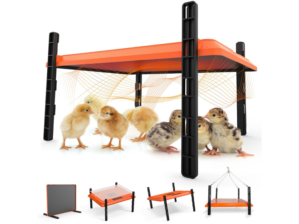 Homcolorful brooder plate top view delivering consistent radiant warmth for chicks