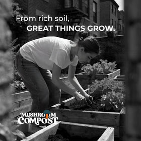 Home and Country Vegetables thrive in nutrient-balanced soil with mushroom compost