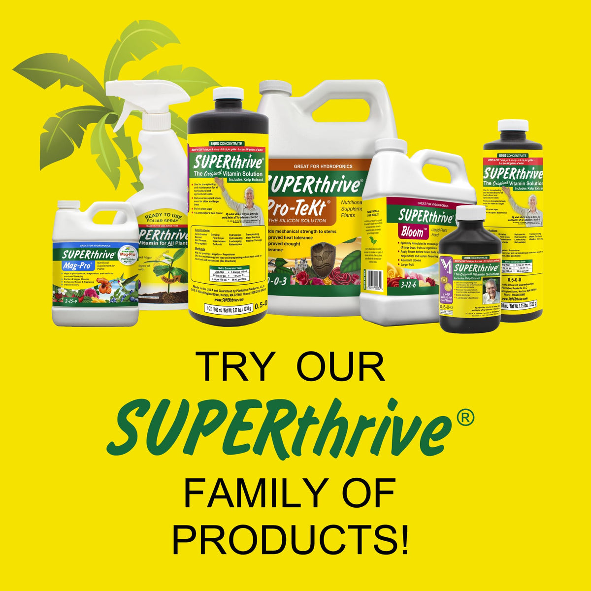Healthy greenery in a home garden aided by SUPERthrive