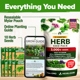 HOME GROWN Chives on planter for easy snipping into dishes