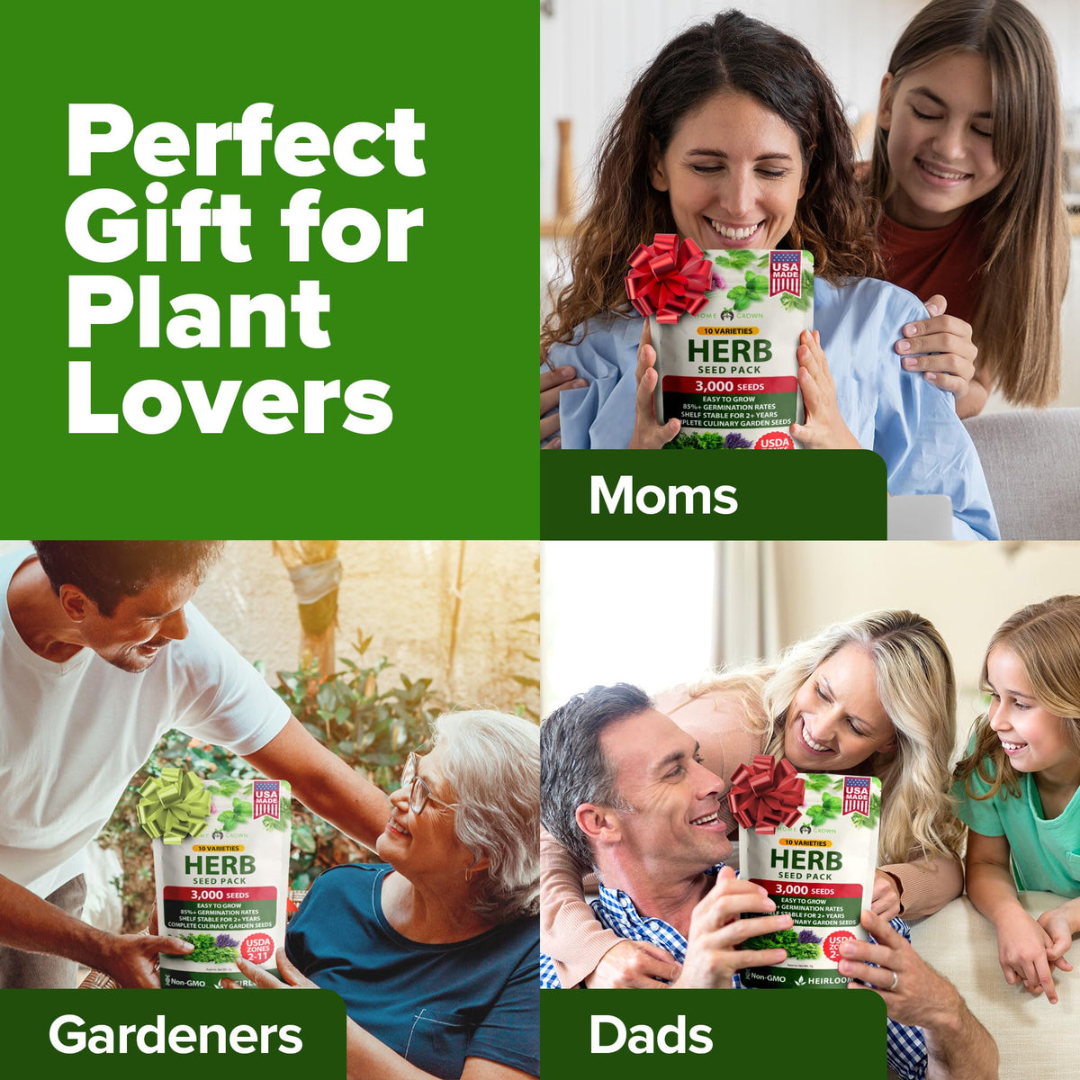HOME GROWN Italian oregano and basil seed kit visual focus