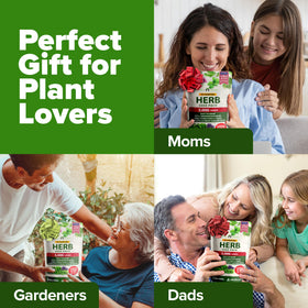 HOME GROWN Italian oregano and basil seed kit visual focus