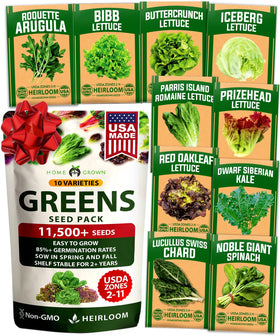 HOME GROWN heirloom lettuce seeds pack for fresh home salads.