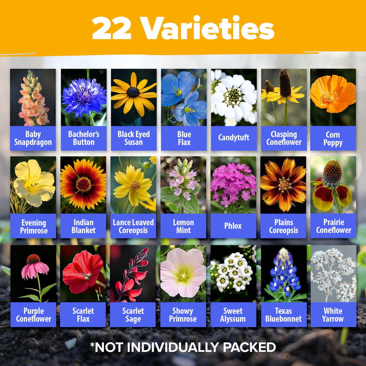 HOME GROWN pollinator garden mix image highlighting butterfly-friendly blooms for a thriving garden.