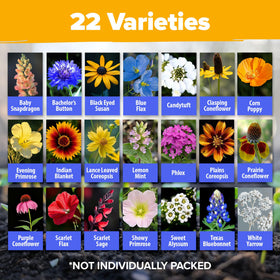 HOME GROWN pollinator garden mix image highlighting butterfly-friendly blooms for a thriving garden.