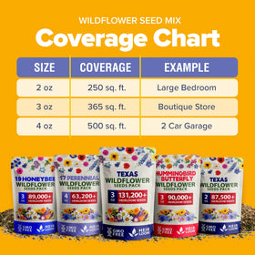 HOME GROWN Texas bluebonnet and coneflower cluster illustrating a striking color display.