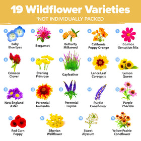 HOME GROWN 19-variety meadow mix ready to plant along sunny borders