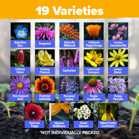 HOME GROWN 19-variety mix ready to sow for bees and butterflies.