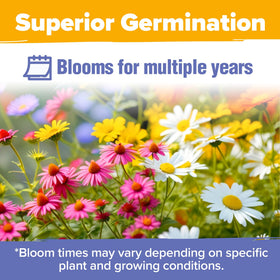 HOME GROWN 19-variety mix boosts biodiversity and year-round interest