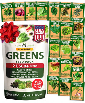 HOME GROWN 20-variety lettuce seeds pack showing resealable pouch for year-round salads