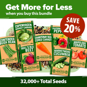 HOME GROWN seed envelopes in airtight bags show long-lasting freshness.