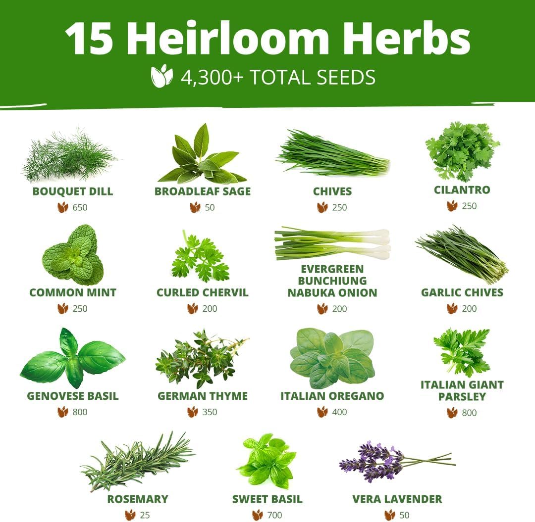 HOME GROWN seeds collection on a garden table suggests beginner-friendly planting.