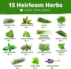 HOME GROWN seeds collection on a garden table suggests beginner-friendly planting.