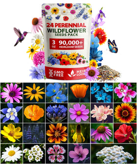 HOME GROWN 90000-seeds wildflower mix blooms in a lush meadow, attracting pollinators.
