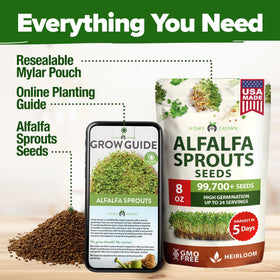HOME GROWN alfalfa sprout jar sprouting setup for indoor gardens