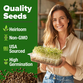 HOME GROWN alfalfa sprout seeds bulk 8oz, convenient weekly harvest