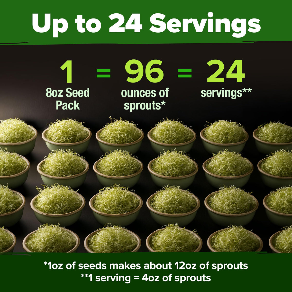 HOME GROWN alfalfa sprout seeds heirloom, untreated and traditional sprouting