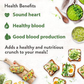 HOME GROWN alfalfa sprouts on a sandwich for fresh crunch