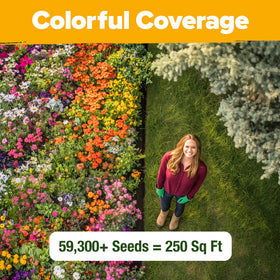 HOME GROWN all-season color display provides continuous blooms from spring through fall.