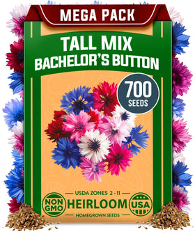 HOME GROWN Bachelor Button seeds closeup bloom for bright border color and lively garden appeal.