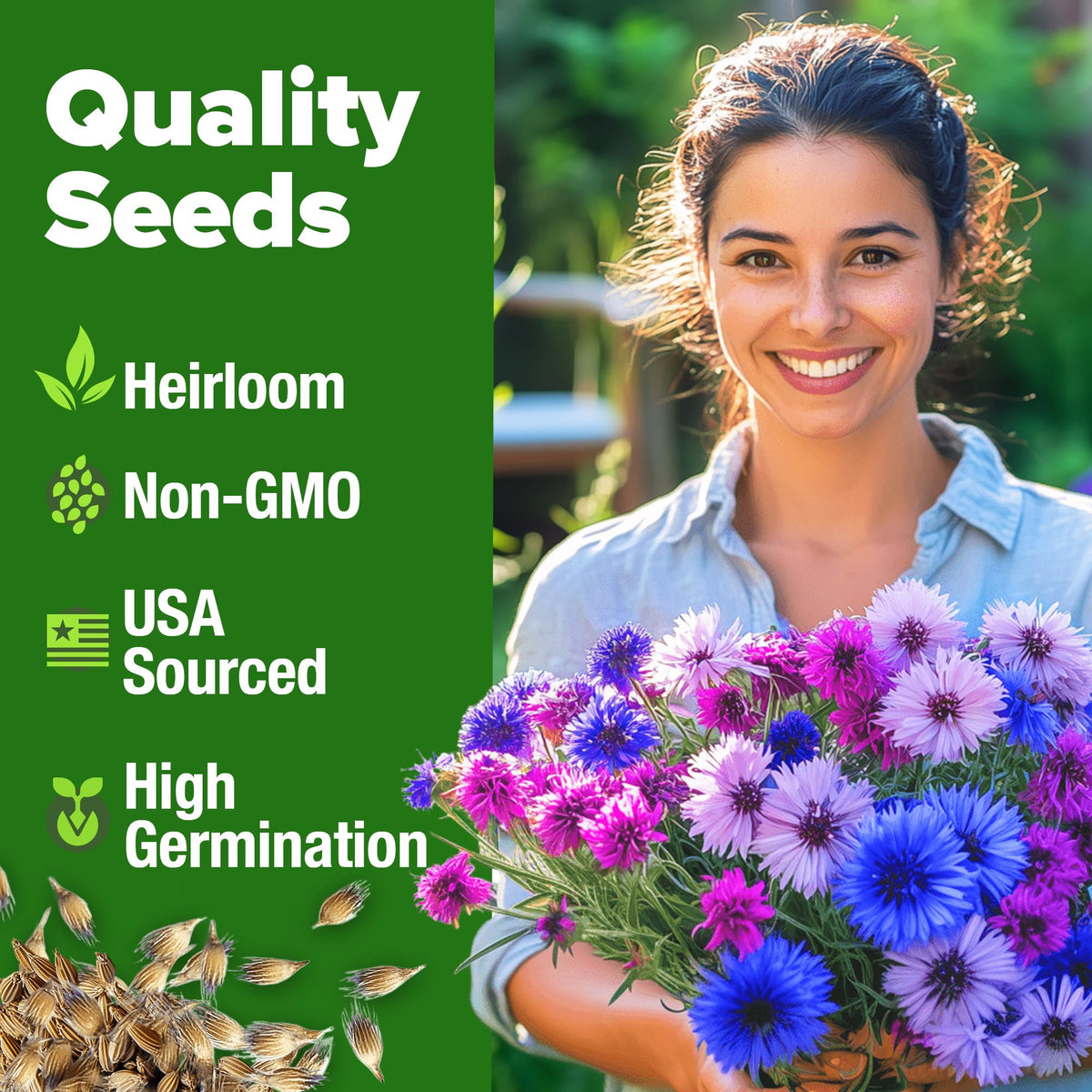 HOME GROWN Bachelor Button seeds tall mix blooms add dramatic height and color in beds.