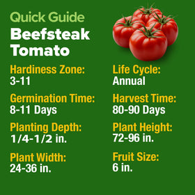HOME GROWN Beefsteak seeds planting-instructions guide for beginners.