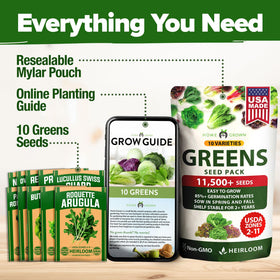 HOME GROWN Bibb seeds for compact, creamy leaves in home gardens.