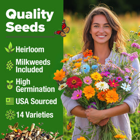 HOME GROWN Biodiversity-friendly garden attracting monarchs, bees, hummingbirds
