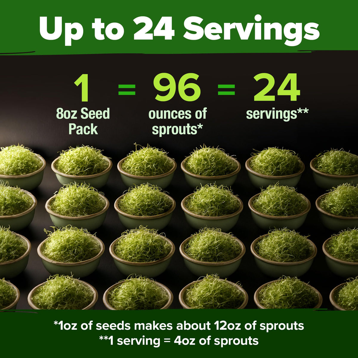 HOME GROWN broccoli seeds sulforaphane rich profile highlights vibrant home sprouts
