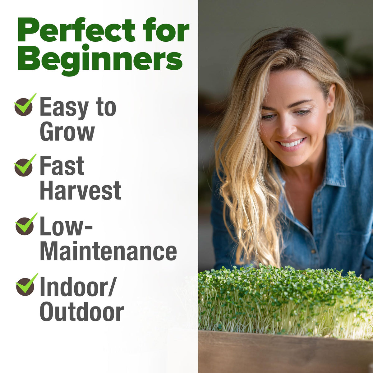 HOME GROWN broccoli seeds USA sourced quality with fresh labeling
