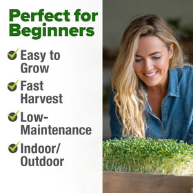 HOME GROWN broccoli seeds USA sourced quality with fresh labeling
