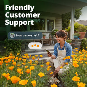 HOME GROWN California Poppy Golden West drought-tolerant plant in tough soil