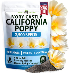 HOME GROWN Ivory Castle poppy bud in architectural display for bold garden massifs.