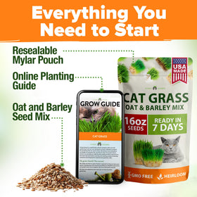 HOME GROWN indoor garden setup enables fresh pet greens at home.
