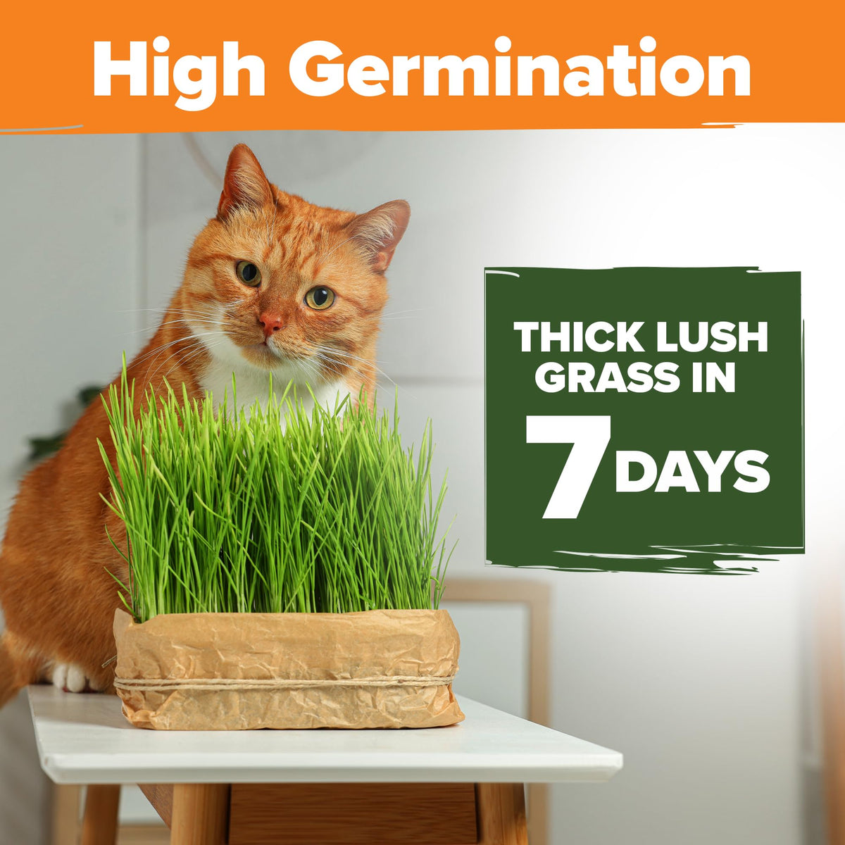 HOME GROWN oat-barley blend with tender texture for sensitive stomachs.