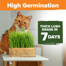 HOME GROWN oat-barley blend with tender texture for sensitive stomachs.