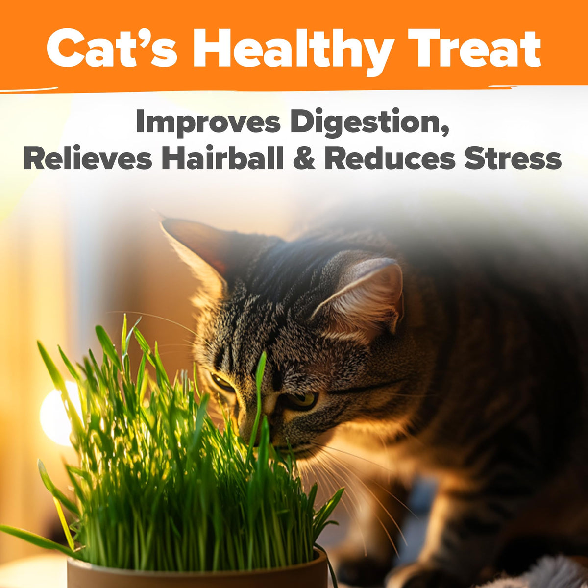 HOME GROWN soft texture supports gentle digestion for finicky eaters.