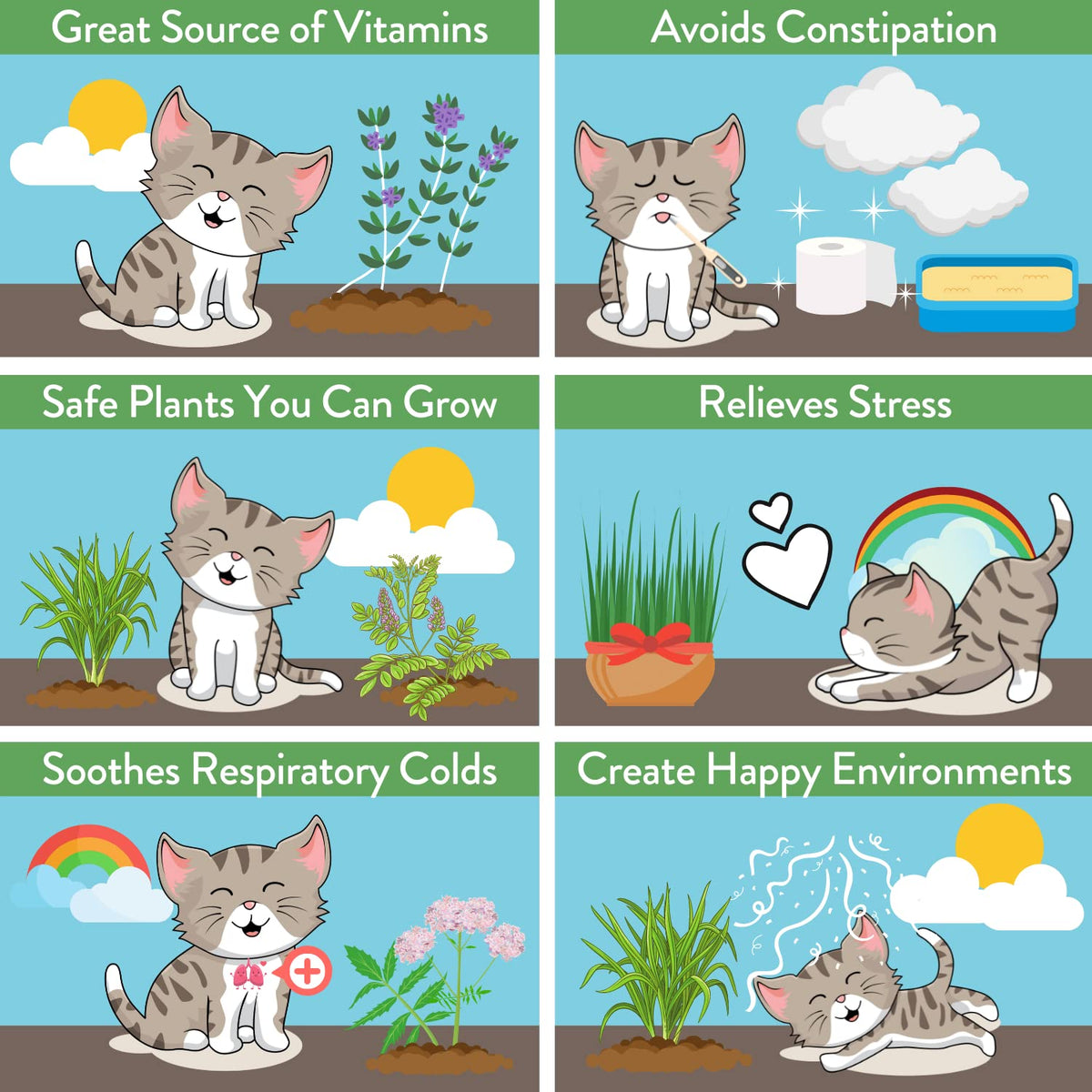 HOME GROWN boredom-busting enrichment garden for indoor cats