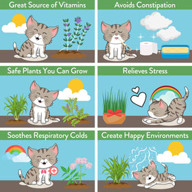 HOME GROWN boredom-busting enrichment garden for indoor cats