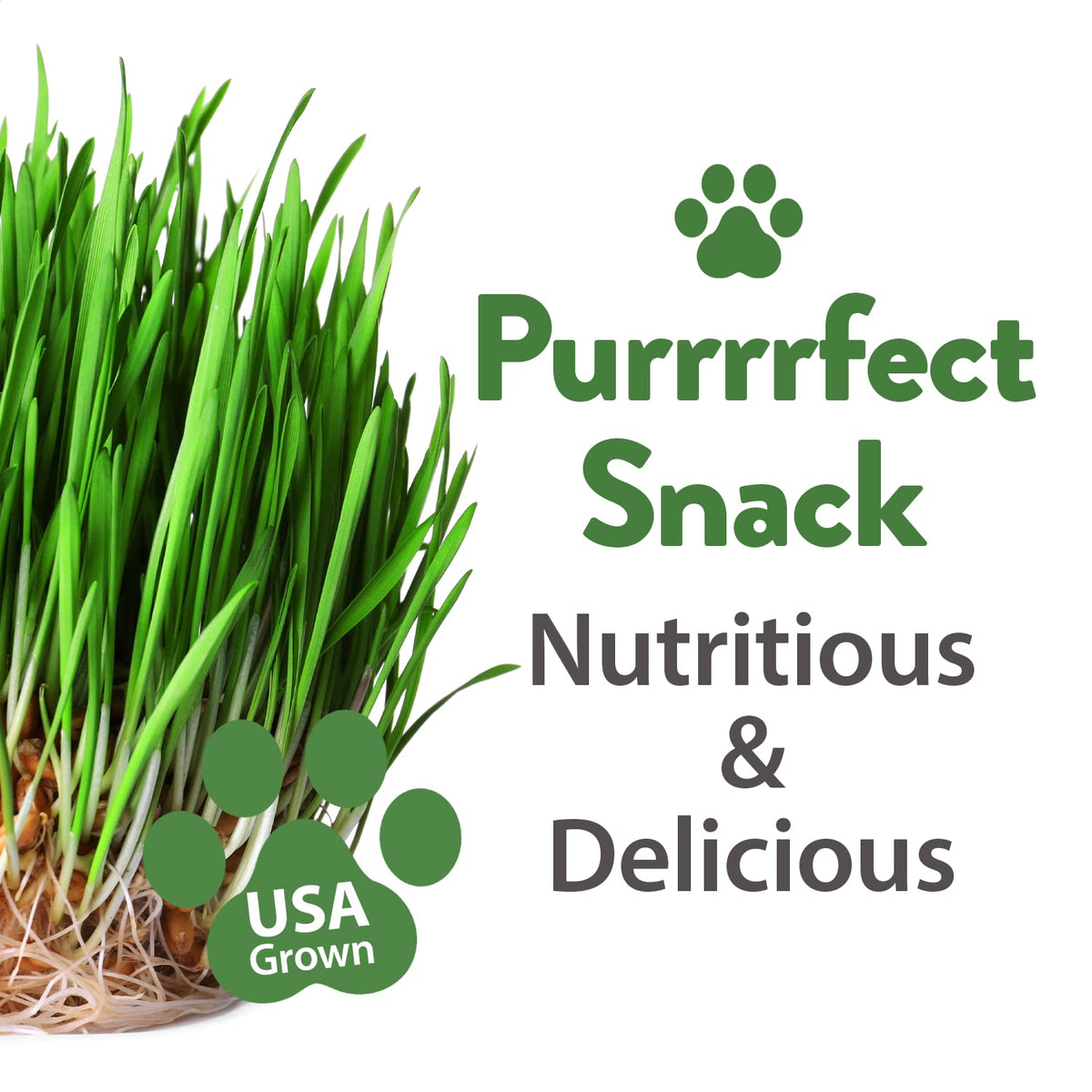 HOME GROWN flavorful greens entice picky eaters for balanced nibbling