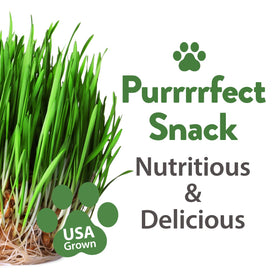 HOME GROWN flavorful greens entice picky eaters for balanced nibbling